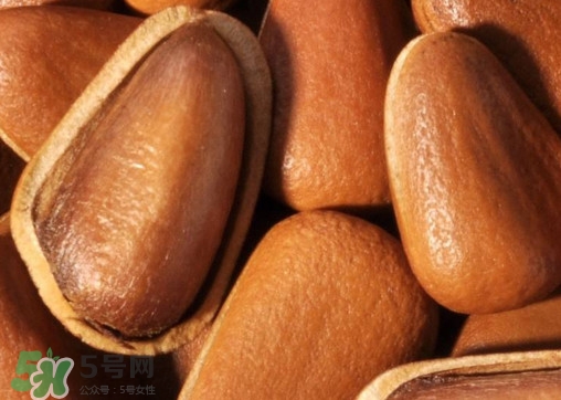 松籽什么季節(jié)采摘？吃松籽有什么好處？