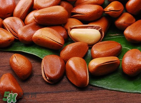 松籽可以生吃嗎？松籽怎么儲藏保存