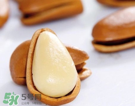 松子是松樹的果實(shí)嗎？松子是酸性還是堿性