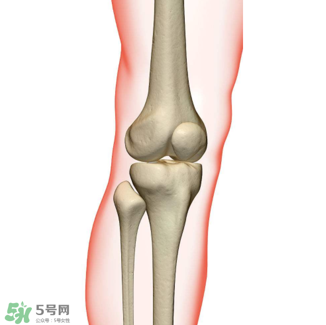 風(fēng)濕不治療可以治愈嗎？早期風(fēng)濕能自愈嗎？