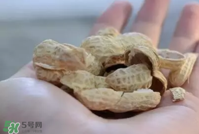 花生發(fā)芽后營養(yǎng)如何？花生殼煮水喝有什么用？