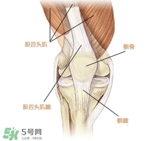 風(fēng)濕可以吃螃蟹嗎？得了風(fēng)濕能吃螃蟹嗎？