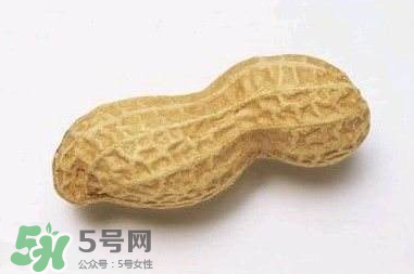 花生有哪些種類(lèi)型？花生怎么栽培管理？