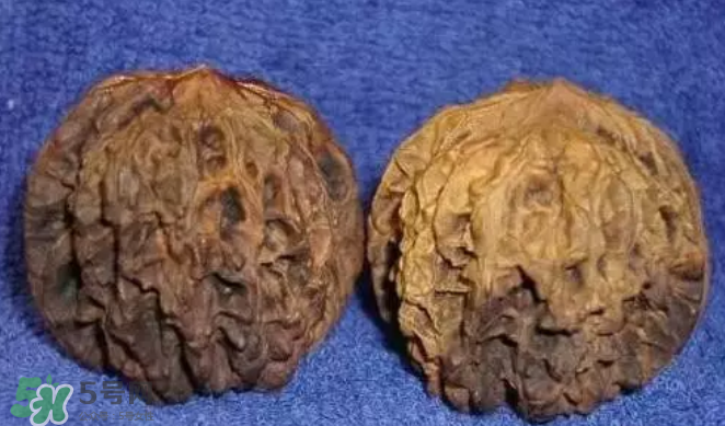 核桃上的陰皮是什么？核桃對血管的作用