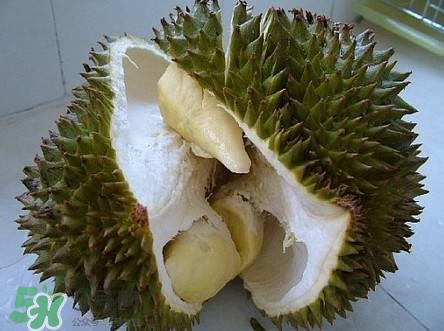 榴蓮和雞蛋能一起吃嗎？榴蓮和什么不能一起吃？
