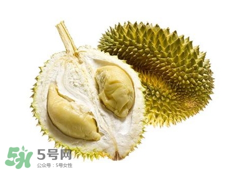 榴蓮籽能種嗎？榴蓮籽怎么種小盆栽？