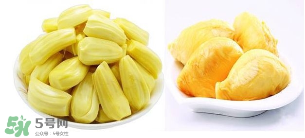 榴蓮和菠蘿蜜一樣嗎？榴蓮和菠蘿蜜哪個(gè)營(yíng)養(yǎng)好？