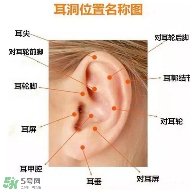 打耳洞多少錢一對？打耳洞相當(dāng)于什么疼