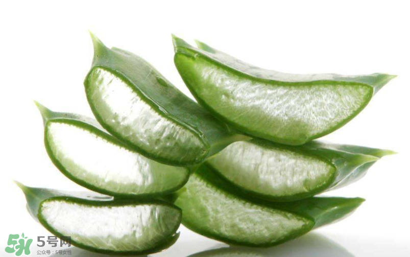 敏感肌能使用蘆薈護(hù)膚嗎？蘆薈膠有什么用？