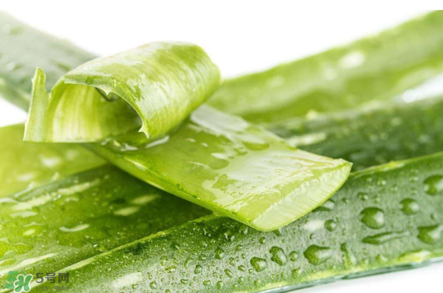 敏感肌能使用蘆薈護(hù)膚嗎？蘆薈膠有什么用？
