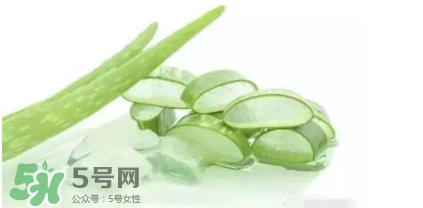 蘆薈怎么吃？蘆薈番茄湯的做法 