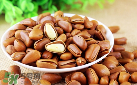 松子什么時(shí)候成熟？松子什么時(shí)候吃最好