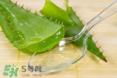 新鮮的蘆薈怎么吃？蘆薈的多種吃法