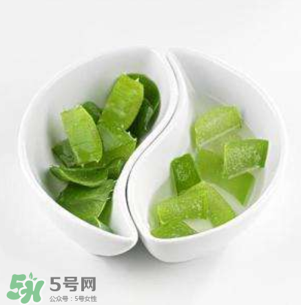 新鮮的蘆薈怎么吃？蘆薈的多種吃法