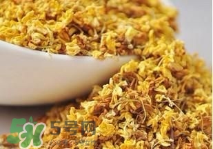 桂花茶怎么泡？桂花茶泡水喝的禁忌 