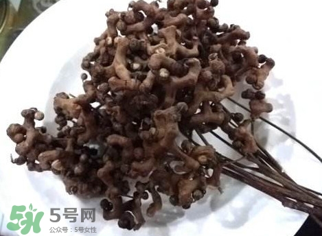 拐棗可以嫁接嗎？拐棗是哪里的特產(chǎn)