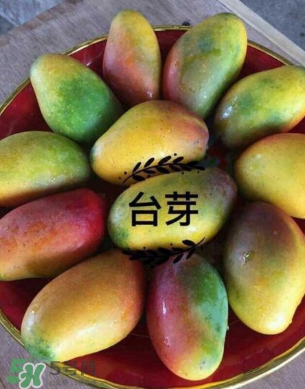 芒果有哪些品種？哪種芒果最好吃？