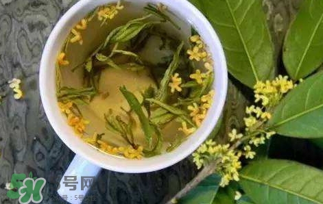 桂花茶怎么泡好喝？桂花茶怎么制作？
