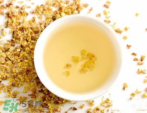 桂花茶怎么泡好喝？桂花茶怎么制作？