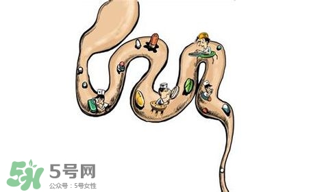 螺旋藻能治胃病嗎？有胃病日常需要注意什么？