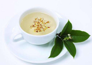 桂花茶怎么泡？桂花茶泡水喝的禁忌
