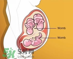 雙子宮是什么意思？雙子宮可以順產(chǎn)嗎？
