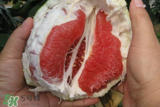 紅肉蜜柚可以?xún)?chǔ)存多久？紅肉蜜柚怎么挑選