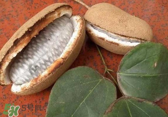 八月瓜能放冰箱嗎？八月瓜怎么保存？