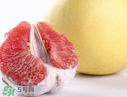 紅肉蜜柚是哪里產(chǎn)的？紅肉蜜柚的種植技術