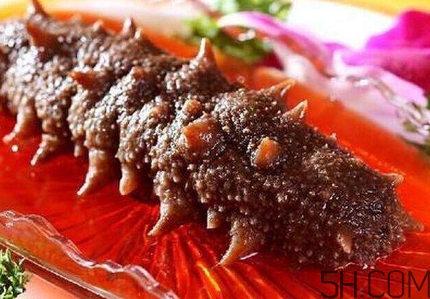海參能和西紅柿一起吃嗎？海參和什么一起吃最好？