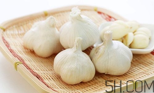 大蒜泡酒治什么??？大蒜泡酒有什么好處？