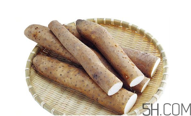 山藥發(fā)芽怎么處理？山藥的功效及作用