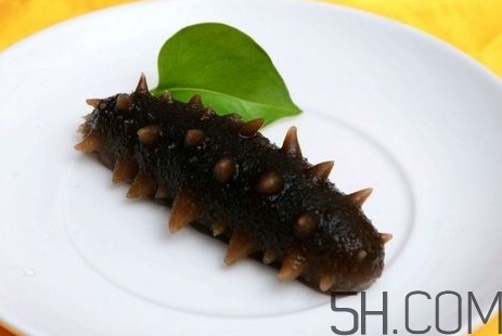 海參是高蛋白食物嗎？海參是素食嗎？