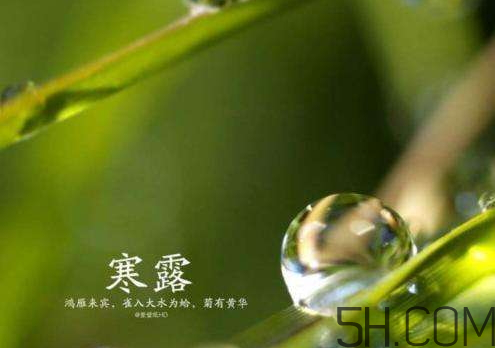 2017年寒露會(huì)下雨嗎？寒露下雨好嗎？