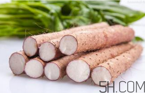 山藥和白蘿卜可以一起燉湯嗎？冬天吃山藥的五大好處