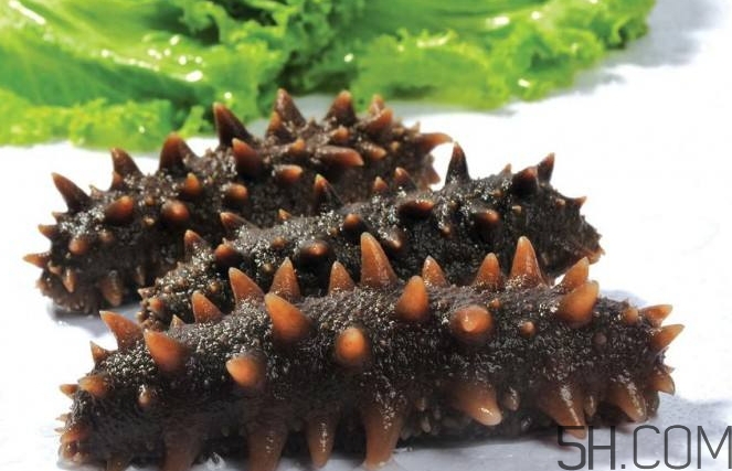 術(shù)后能吃海參嗎？術(shù)后吃海參的功效與作用