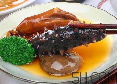 海參是海鮮嗎？海參是動物還是植物？