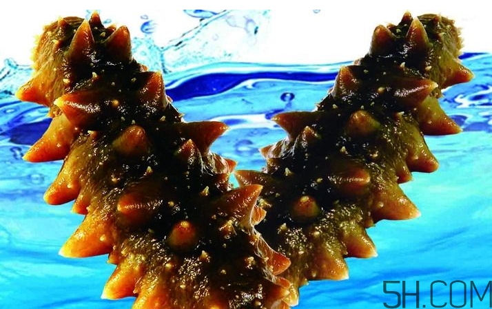 海參是酸性還是堿性？海參是涼性還是熱性？