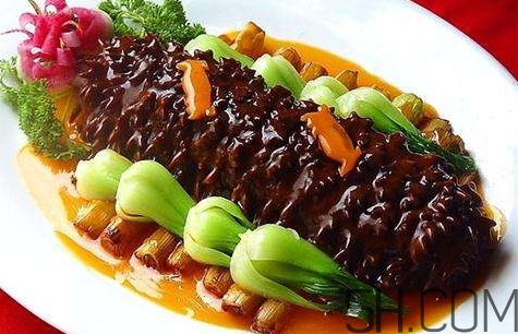 海參是高蛋白食物嗎？海參是素食嗎？