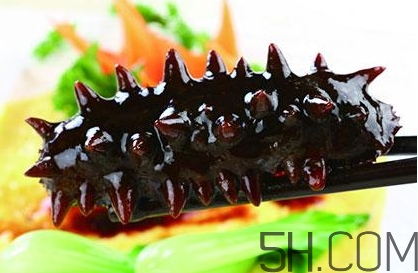 海參是高蛋白食物嗎？海參是素食嗎？