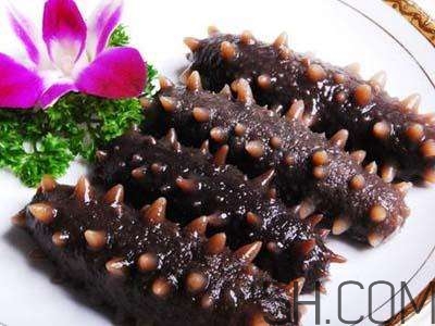 海參是高蛋白食物嗎？海參是素食嗎？