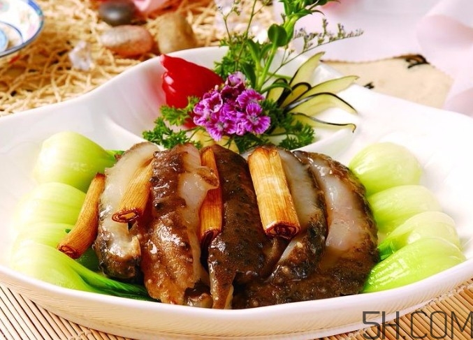 海參是高蛋白食物嗎？海參是素食嗎？