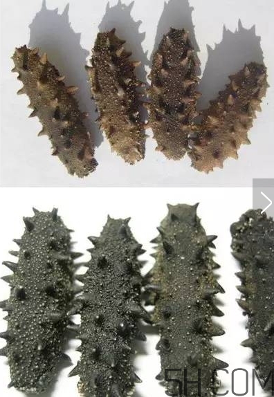 海參顏色深好還是淺好？海參顏色發(fā)白時怎么回事？