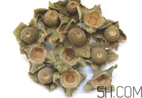 柿蒂治打嗝怎么煮水？柿蒂的功效與作用
