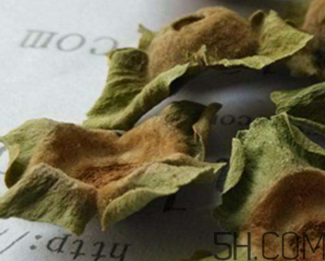 柿蒂治打嗝怎么煮水？柿蒂的功效與作用