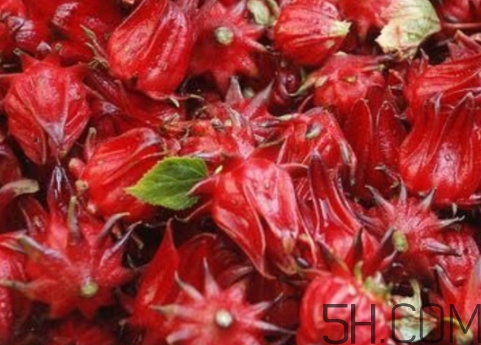 洛神果是什么？洛神果和洛神花區(qū)別