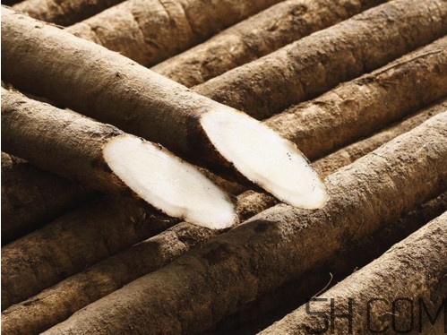 牛蒡是牛大力嗎？牛蒡和牛大力的區(qū)別