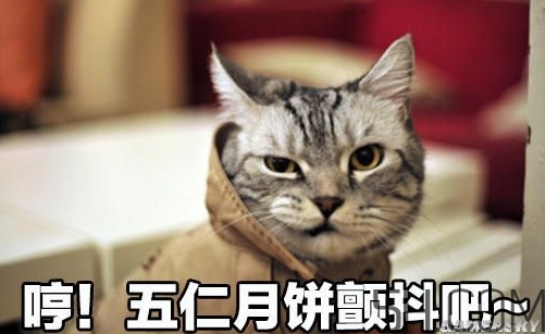 十仁月餅是哪十仁？十仁月餅好吃嗎