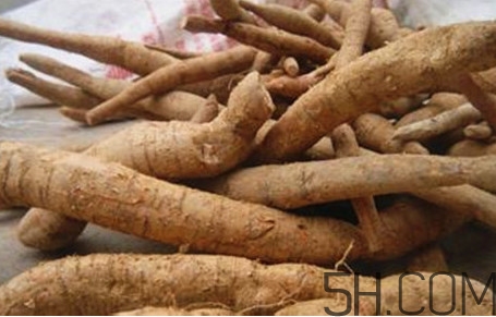 牛蒡用去皮嗎？牛蒡茶什么時(shí)候喝最好