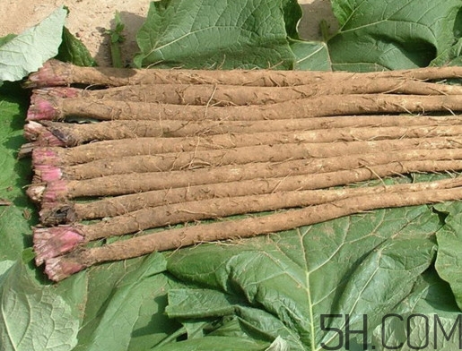 牛蒡是牛大力嗎？牛蒡和牛大力的區(qū)別